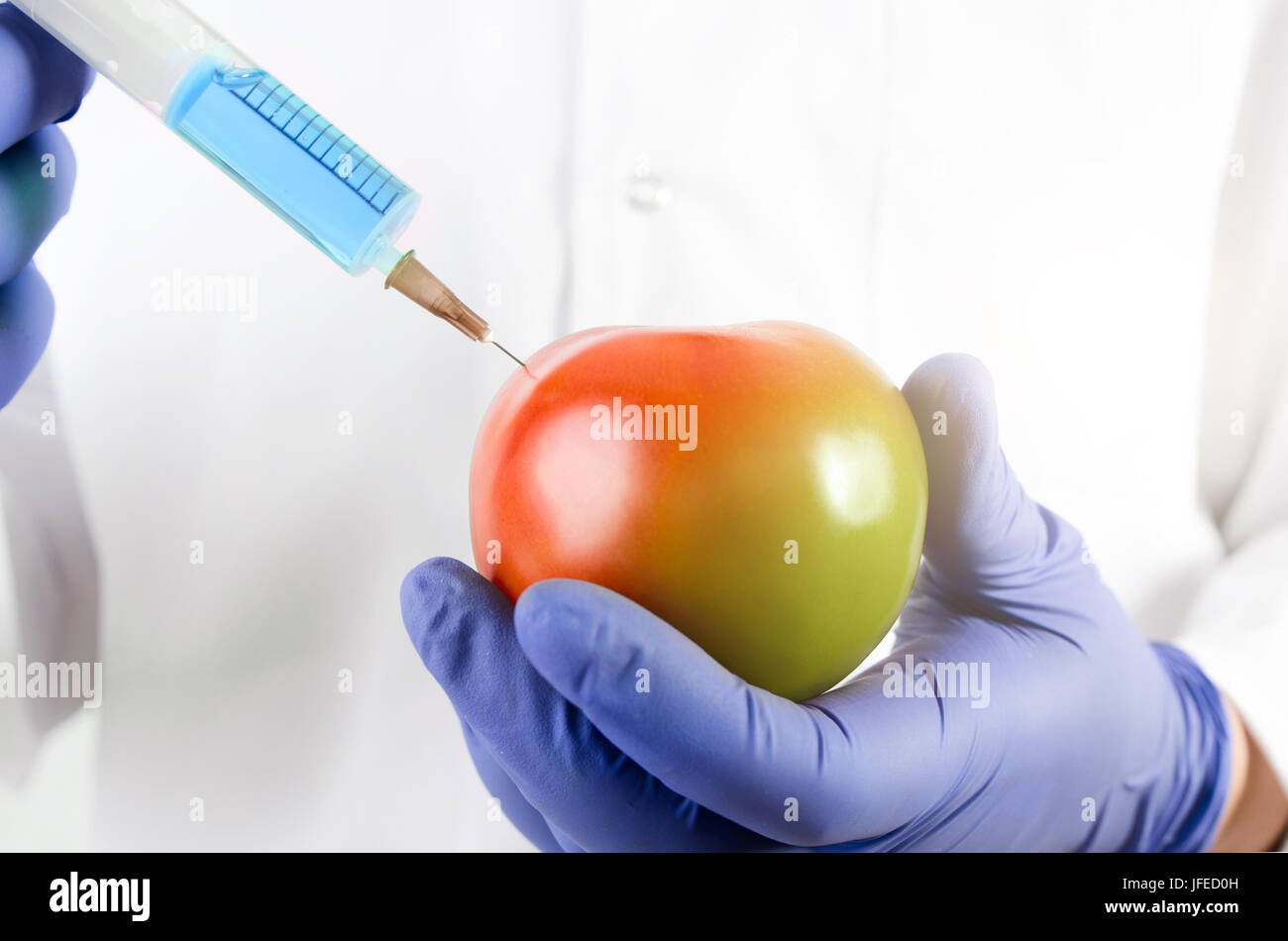 Technicien utilise une seringue. La modification génétique des fruits et légumes. Tomates mûries OGM dans la main Banque D'Images