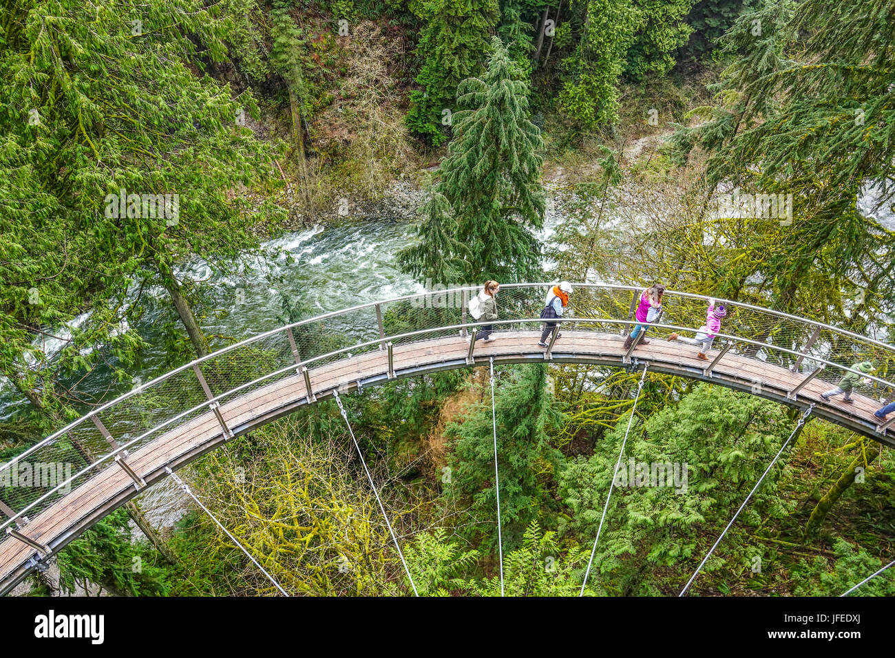 Merveilleux parc Capilano Suspension Bridge au Canada Banque D'Images