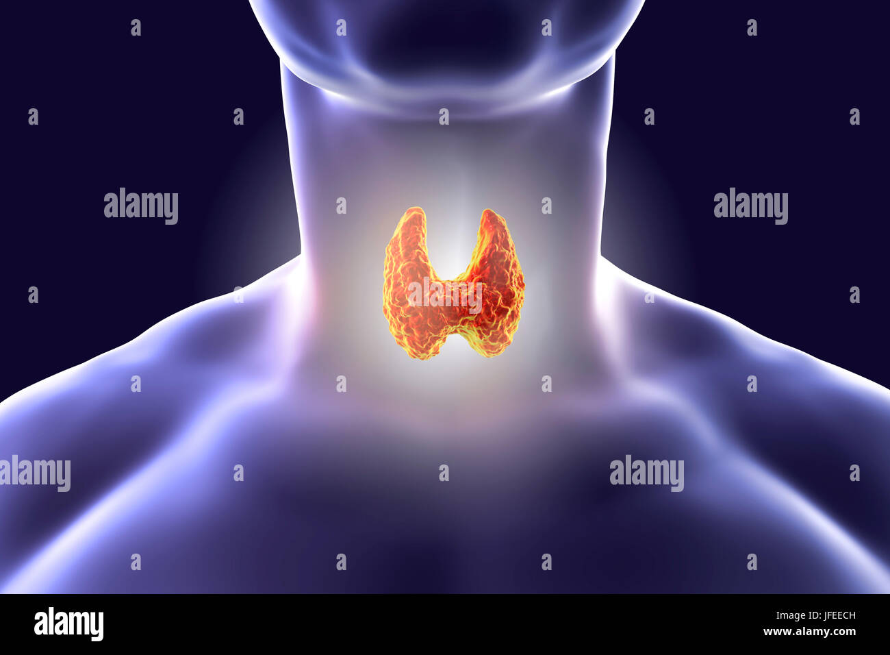 La glande thyroïde chez un homme, le cou d'illustration de l'ordinateur. Banque D'Images
