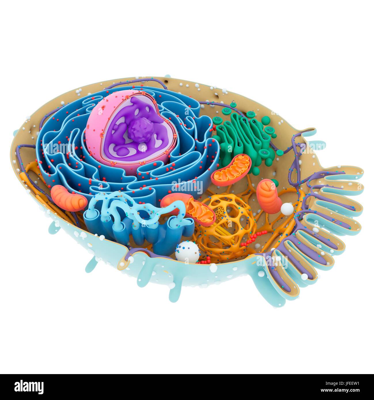 La structure cellulaire, de l'illustration. Banque D'Images