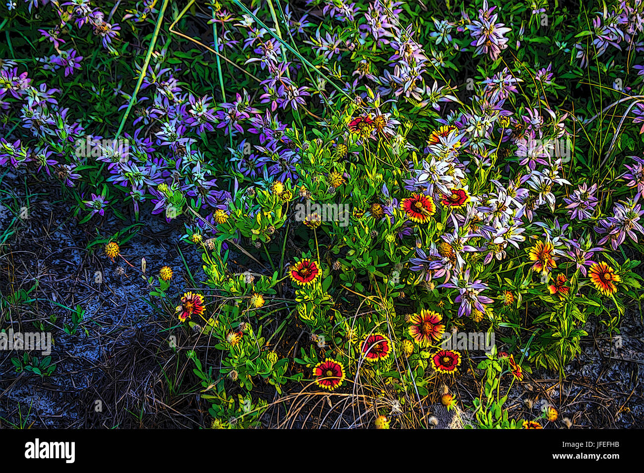 Dune plage fleurs sauvages colorées. Banque D'Images