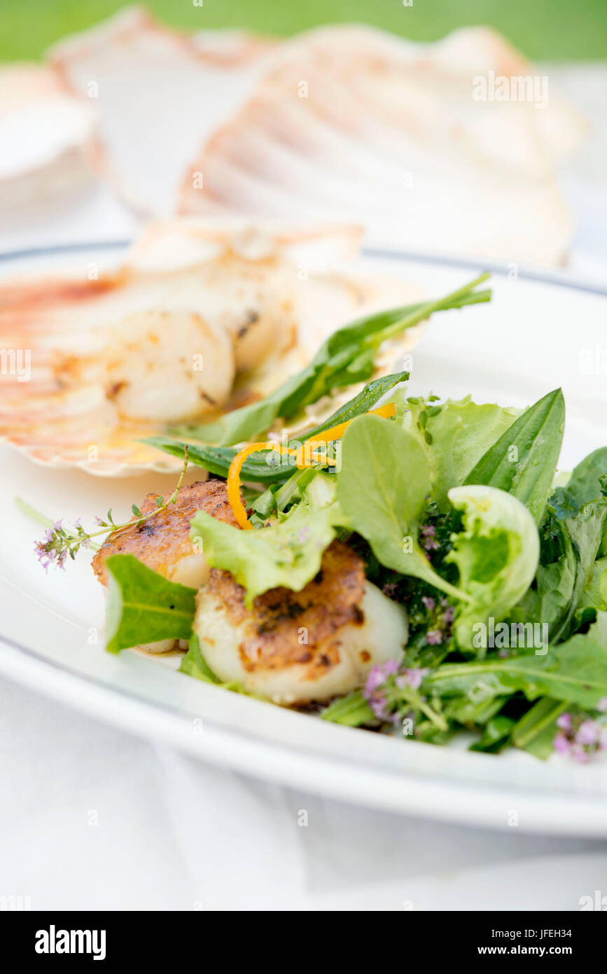 Avec salade de coquilles, Banque D'Images