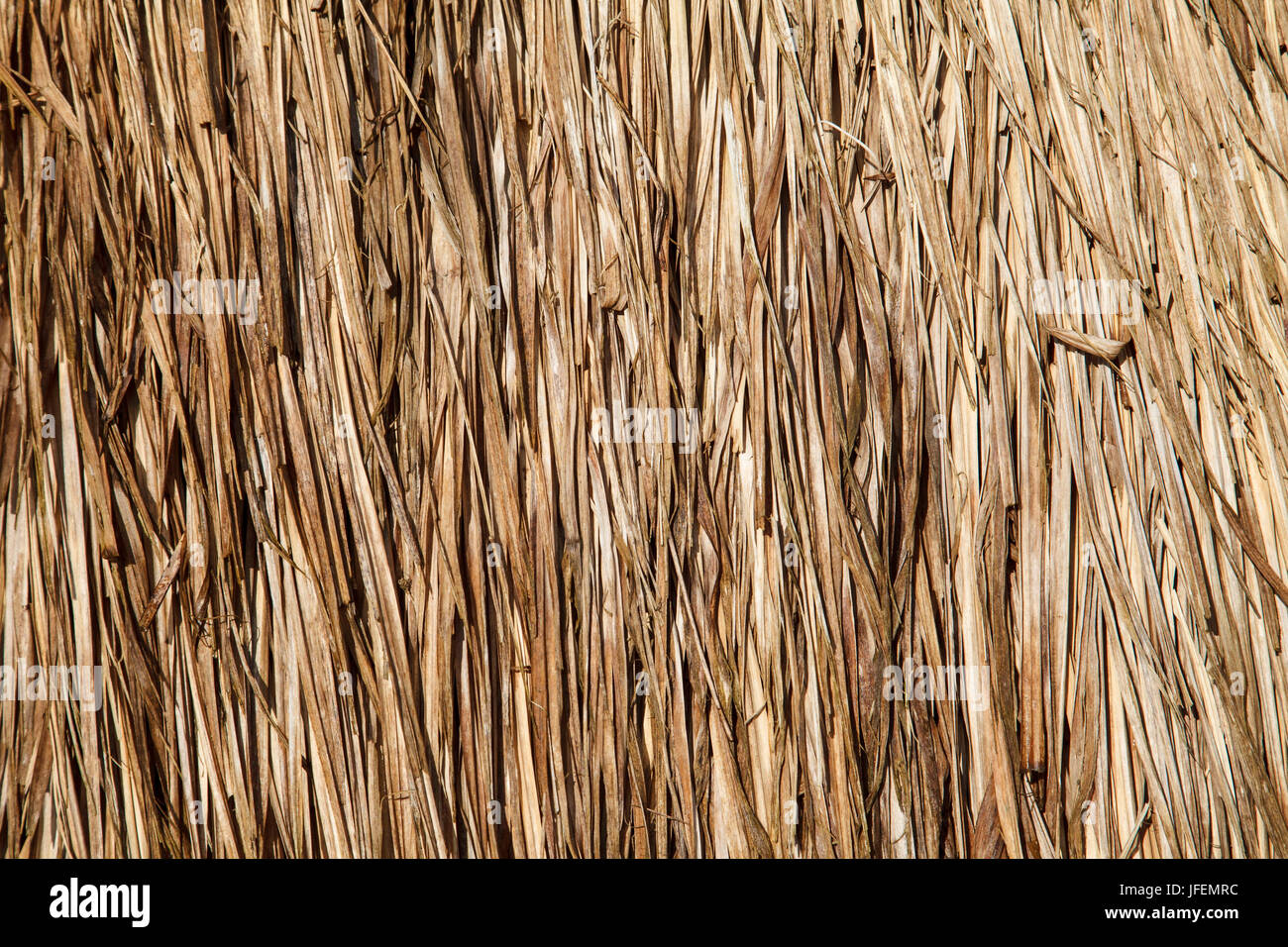 Le Chili, Araucania, Llaguepulli, Mapuche, Ruka, maison ronde, paille Banque D'Images