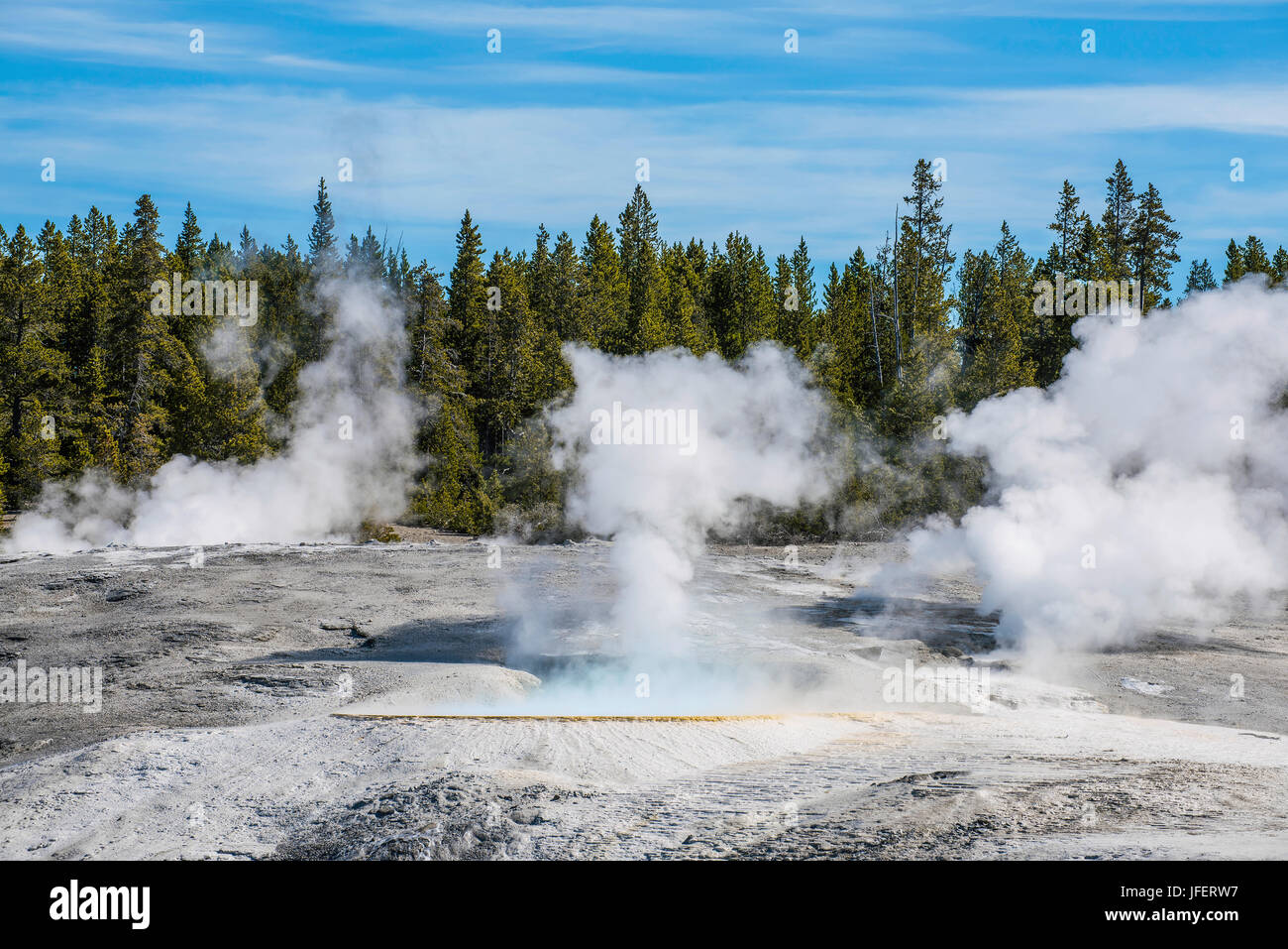 Les sources chaudes et les geysers, le Parc National de Yellowstone, Wyoming, USA Banque D'Images