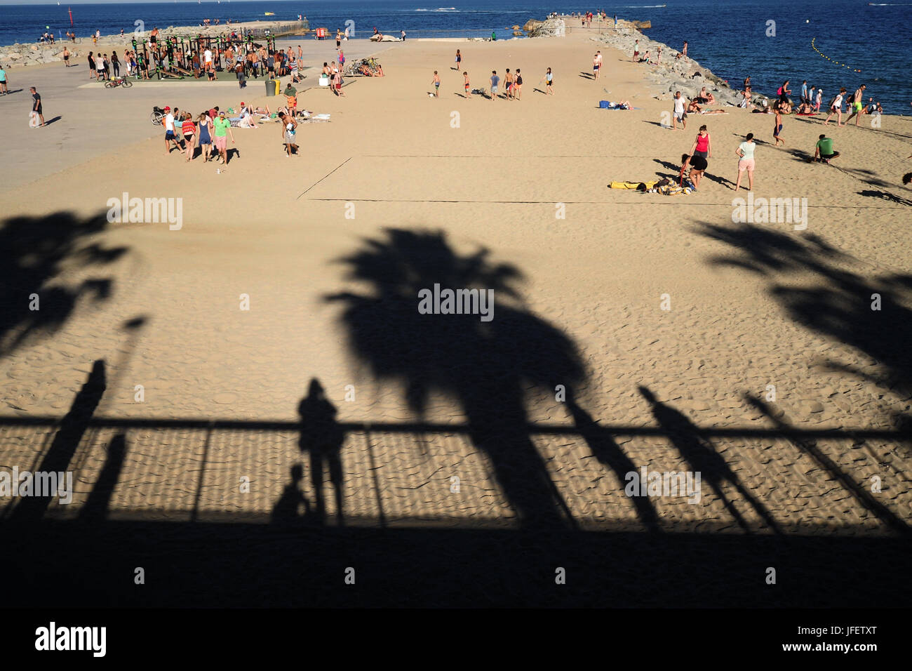 La plage de Barceloneta avec des palmiers au coucher du soleil ; Barcelone, Espagne, Europe Banque D'Images