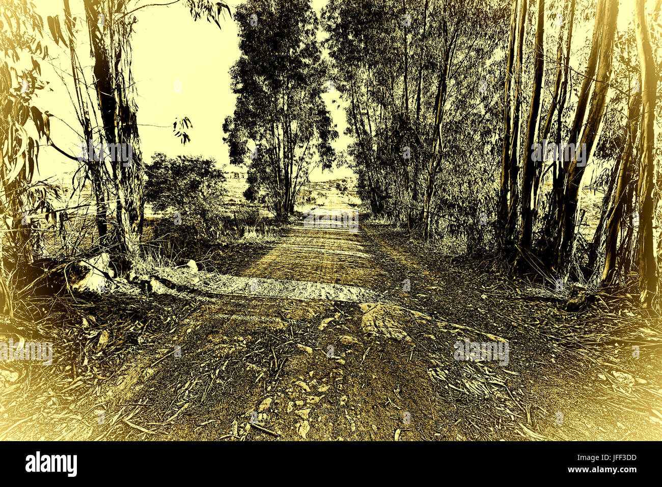 Route de terre de pays Banque D'Images