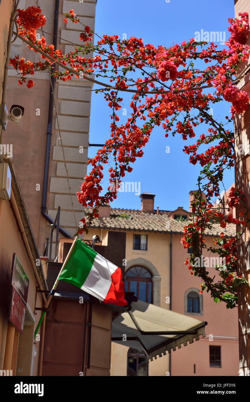 L'Italien vert, blanc et rouge de drapeau rouge avec cadre de bougainvilliers Banque D'Images