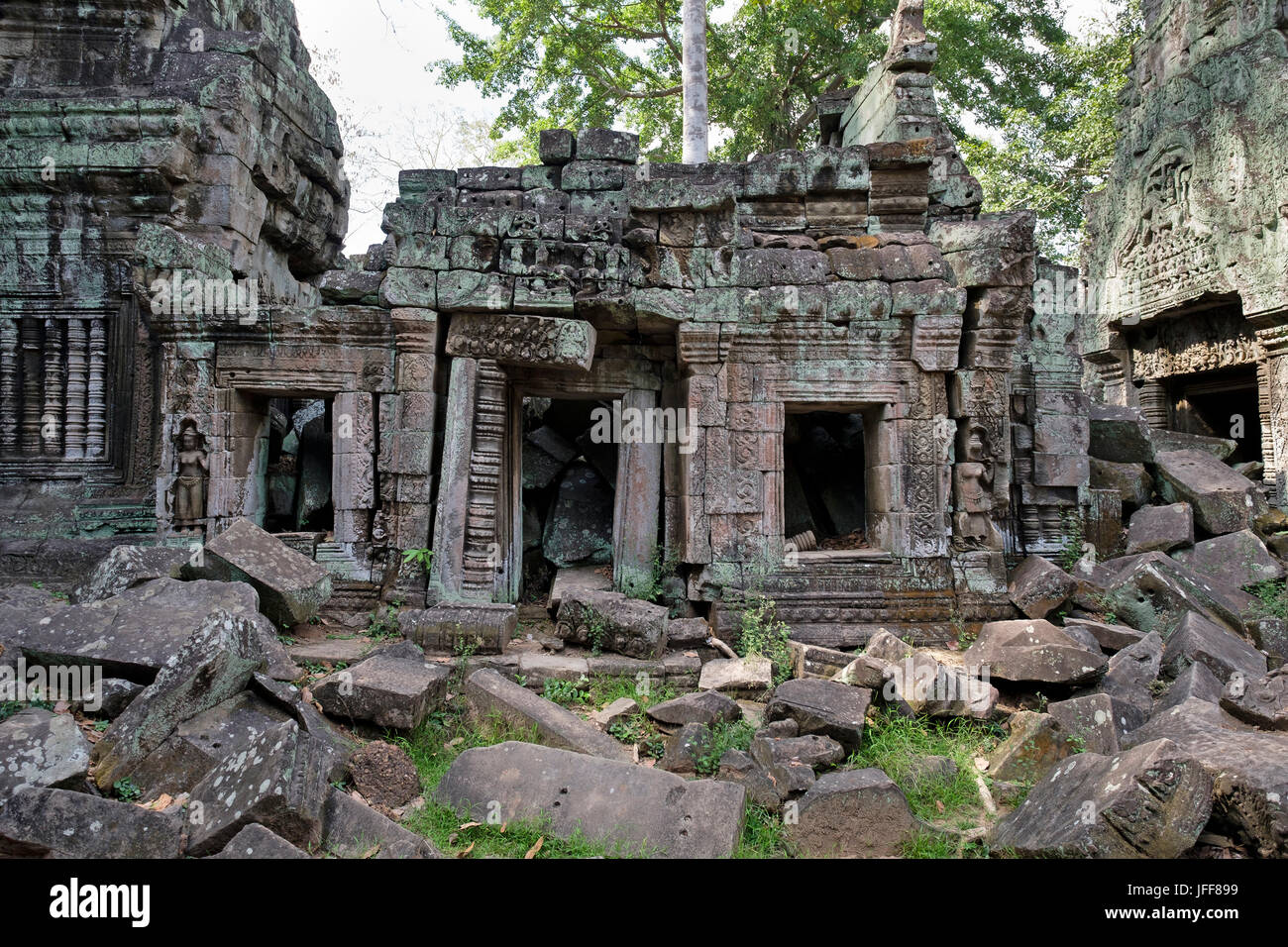 Ta Prohm temple, province de Siem Reap, Cambodge Banque D'Images