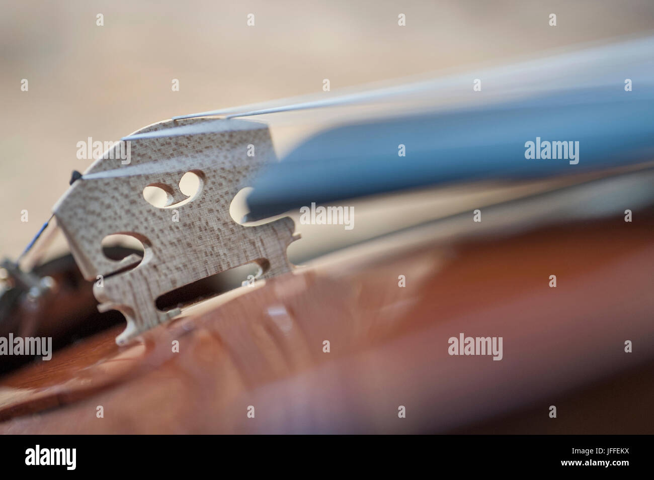 Close-up de cordes de violon Banque D'Images