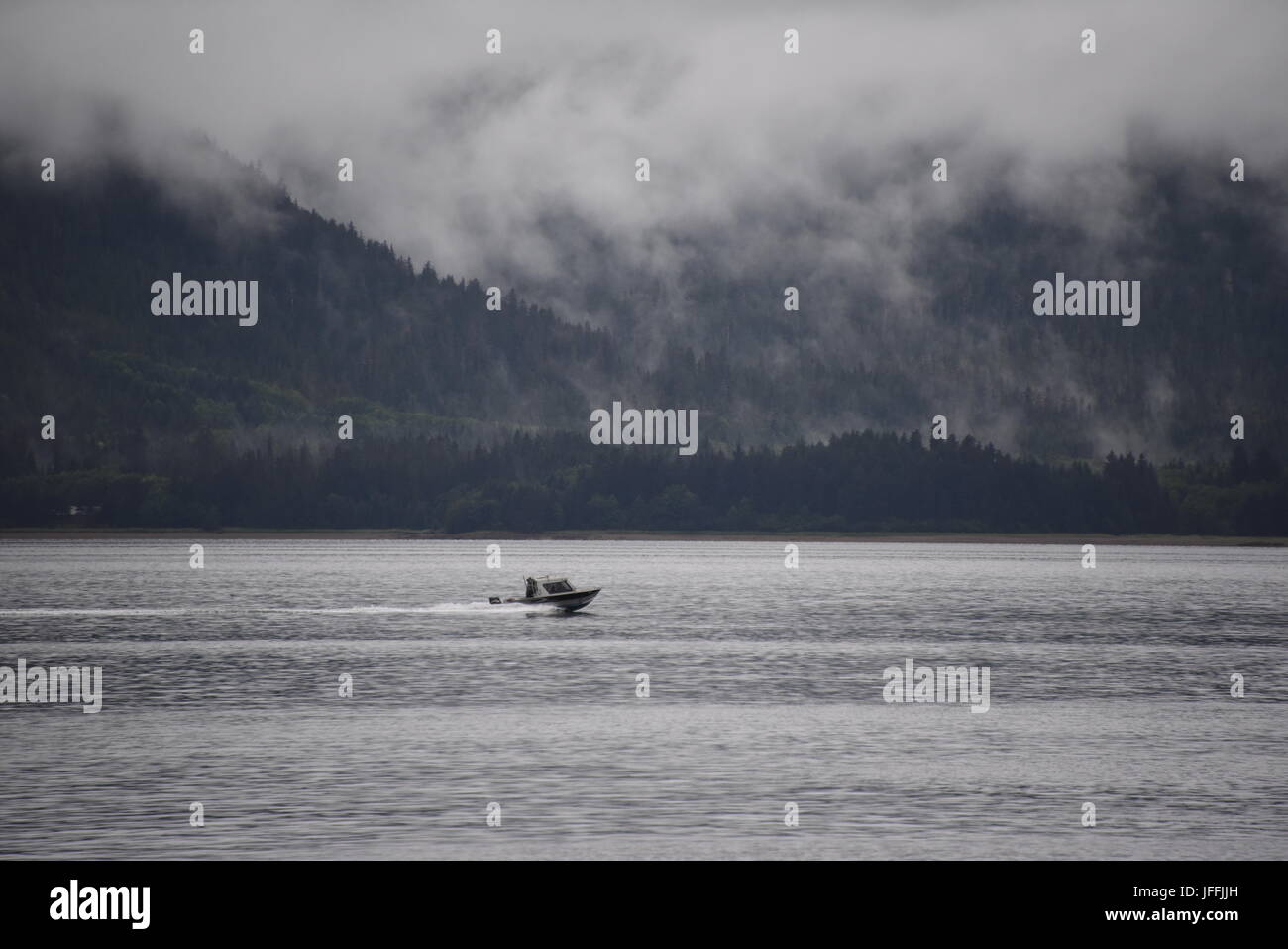 La Forêt nationale de Tongass Banque D'Images