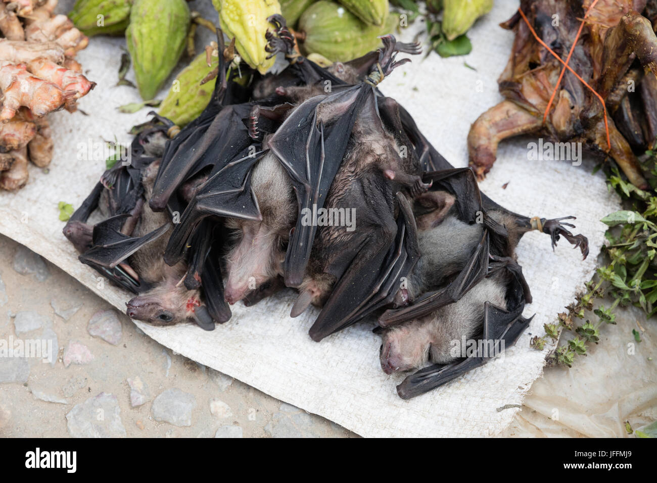 Les chauves-souris au cours du marché Banque D'Images