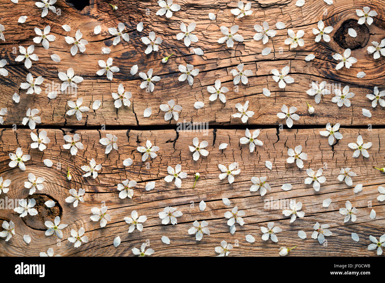 Fleurs de Printemps sur fond de bois Banque D'Images