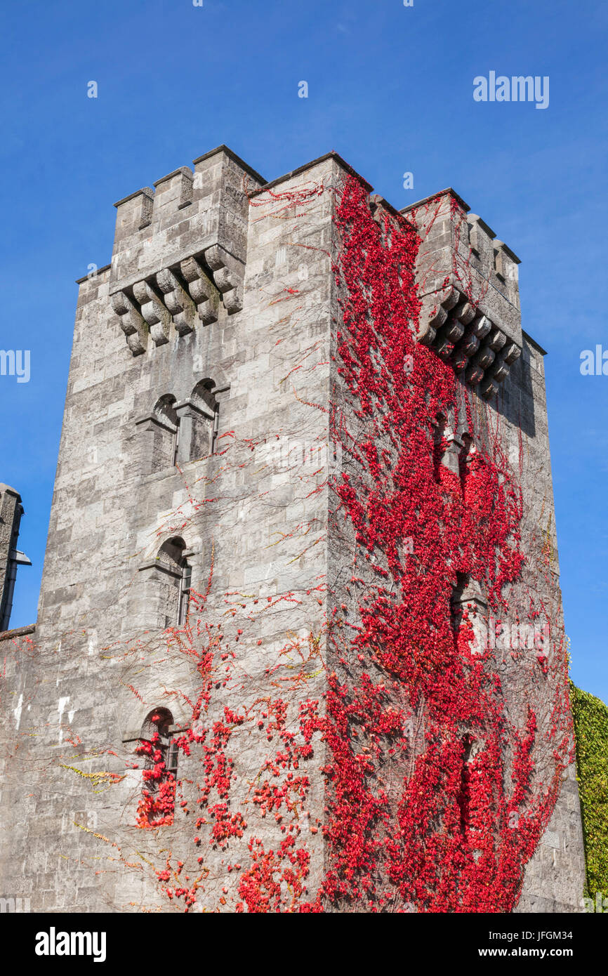 Pays de Galles, Bangor, château de Penrhyn Banque D'Images