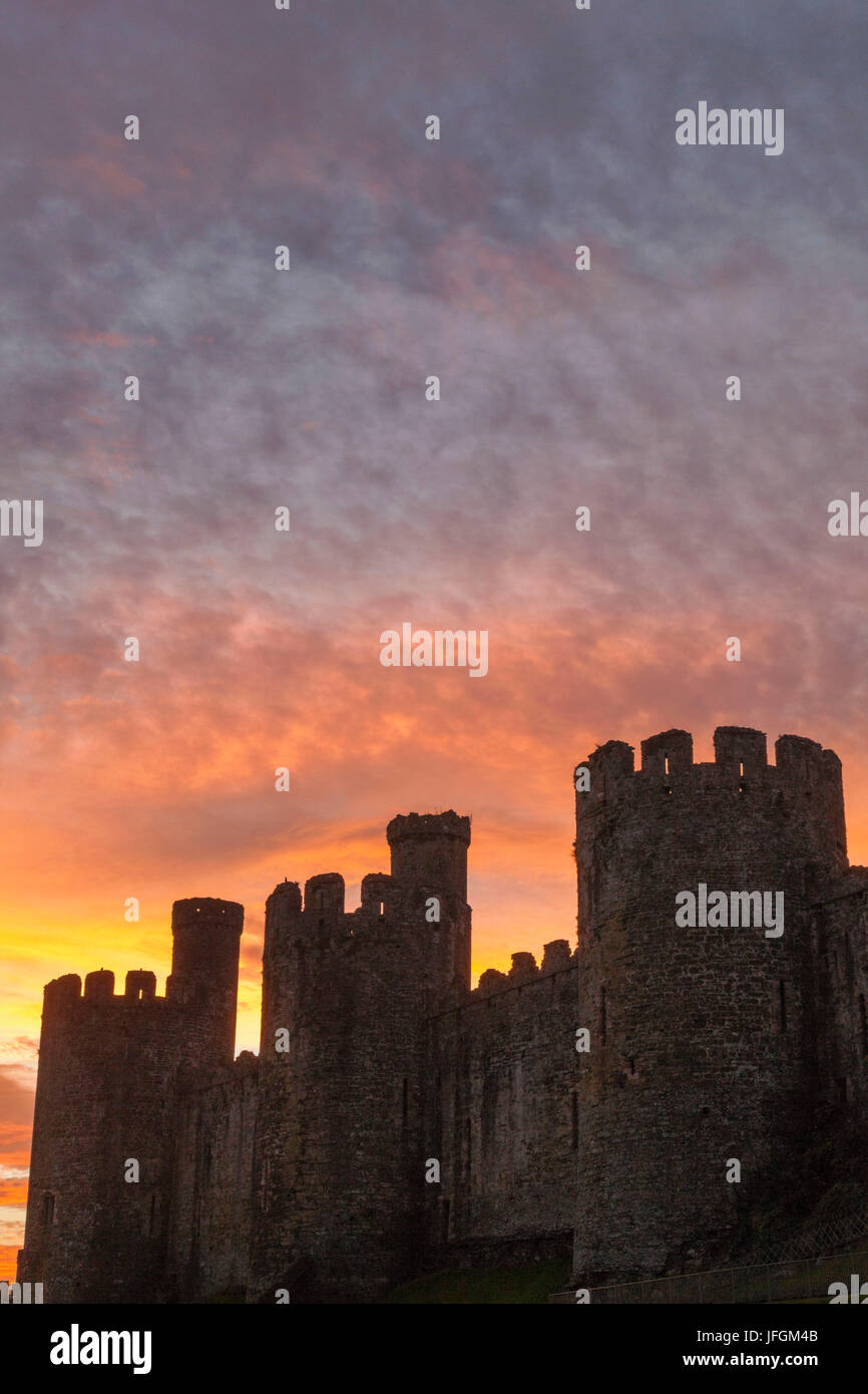 Pays de Galles, Conwy, Château de Conwy, château des Tourelles à l'aube Banque D'Images