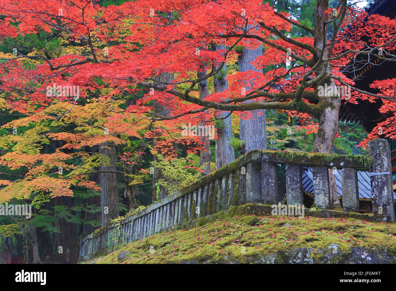 Japon, Nikko, ville sanctuaire Toshogu, couleurs d'automne Banque D'Images