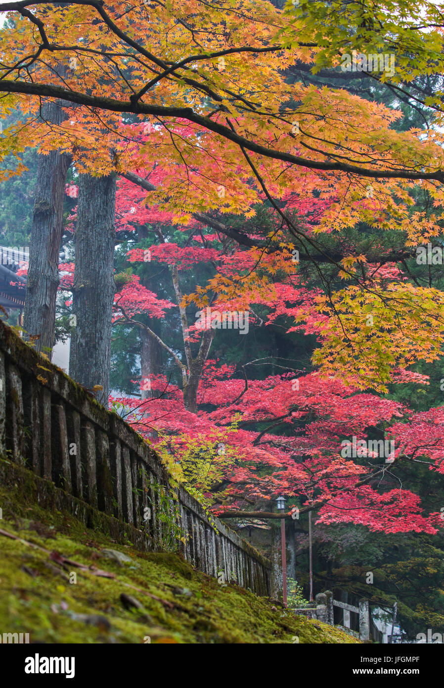 Japon, Nikko, ville sanctuaire Toshogu, couleurs d'automne Banque D'Images