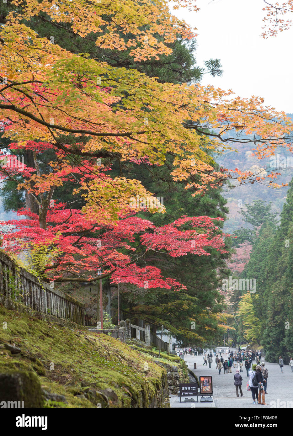 Japon, Nikko, ville sanctuaire Toshogu, couleurs d'automne Banque D'Images