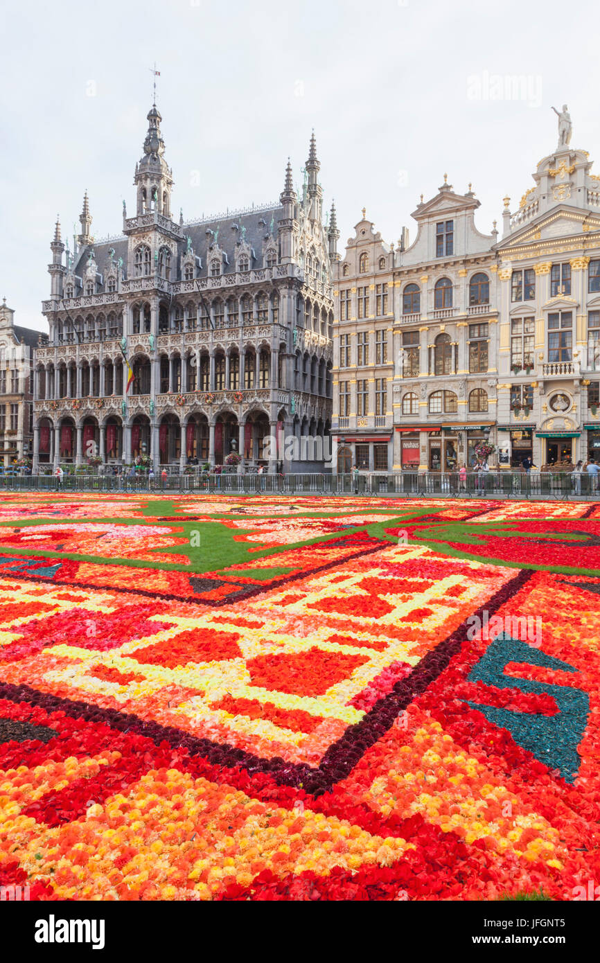 Belgique, Bruxelles, Grand Place, tapis de fleurs Festival Banque D'Images