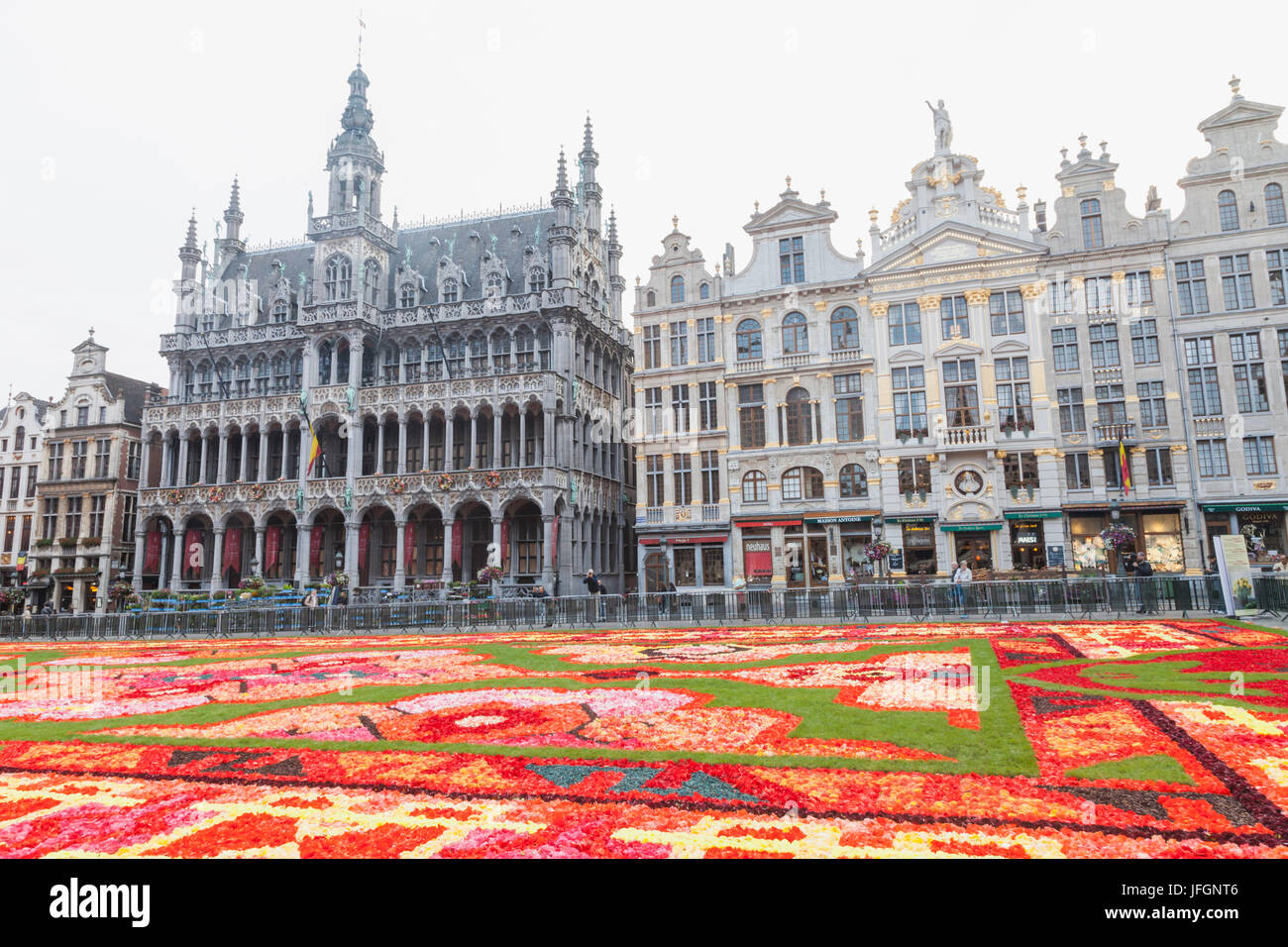 Belgique, Bruxelles, Grand Place, tapis de fleurs Festival Banque D'Images