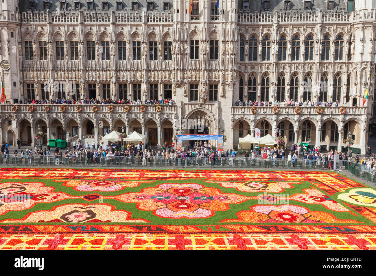 Belgique, Bruxelles, Grand Place, tapis de fleurs Festival et l'hôtel de ville Banque D'Images