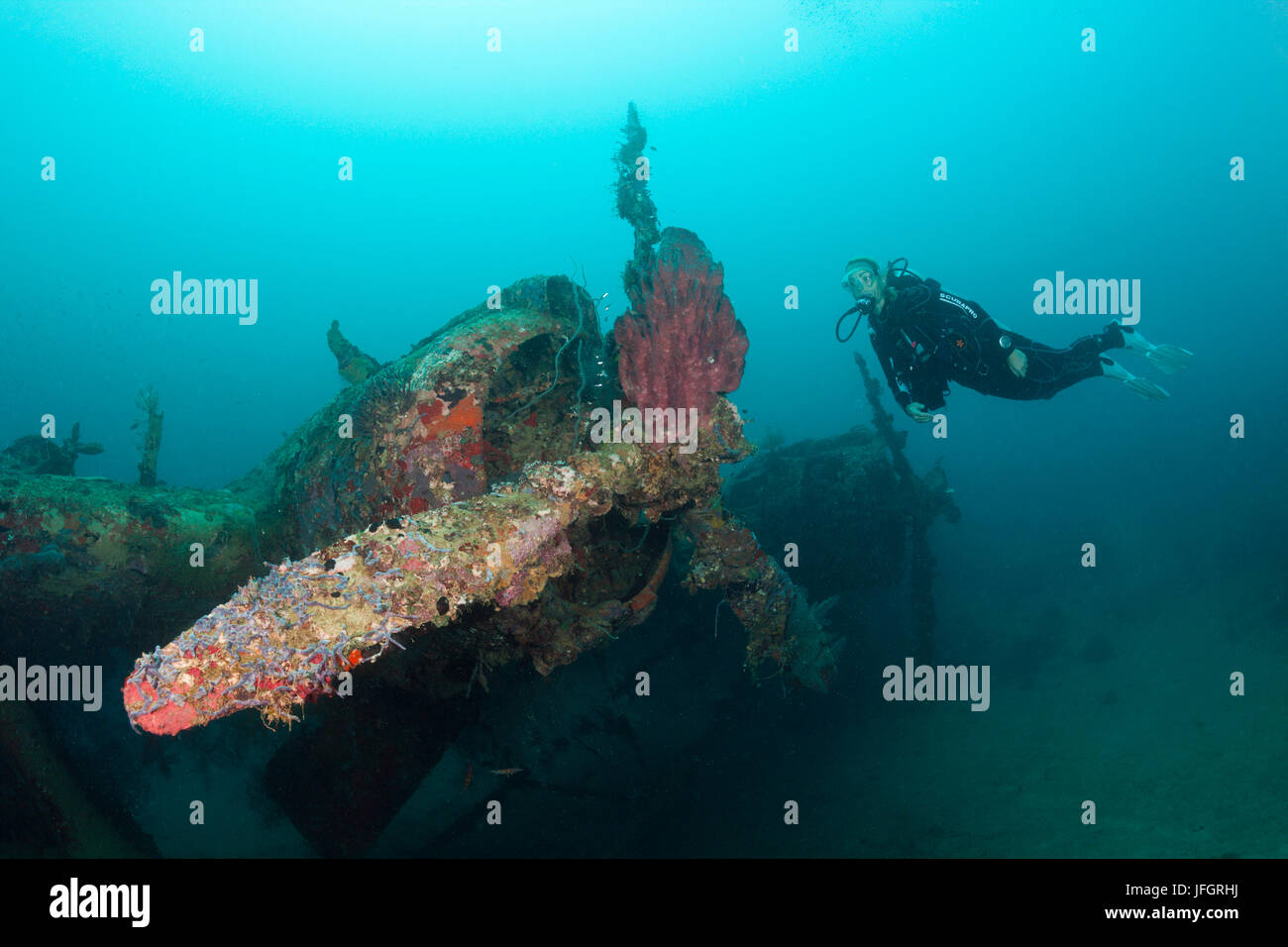 Diver dans le Kawanishi H6K5, épave de bateau vol Florida Islands, les Îles Salomon Banque D'Images