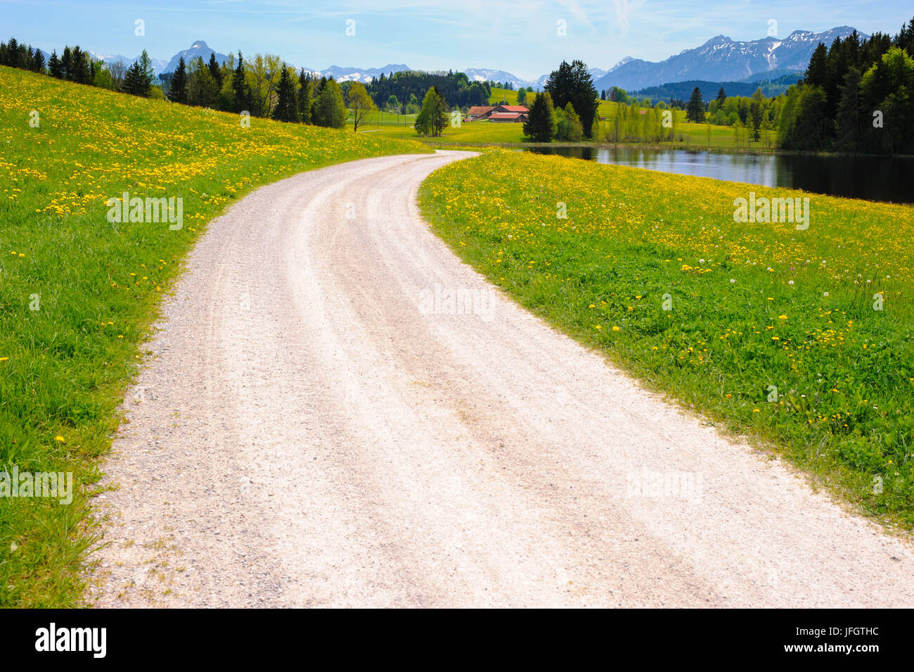 Chemin de campagne avec de la Seeg Allgäu mène d'ici le printemps et fleurs meadows Banque D'Images