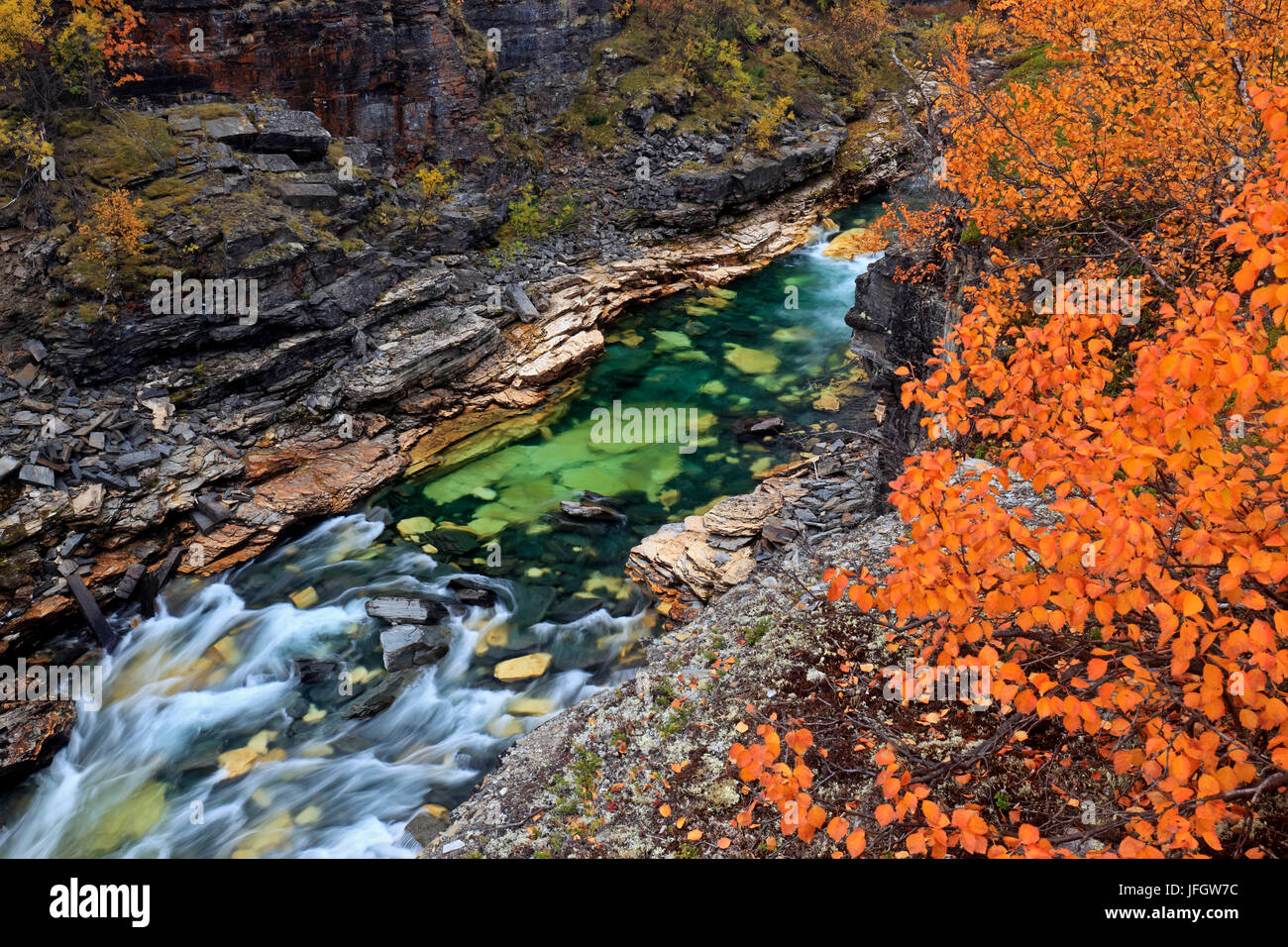 L'Europe, Suède, Laponie, province de Norrbotten, Abisko National Park, l'automne à l'Abisko canyon Banque D'Images