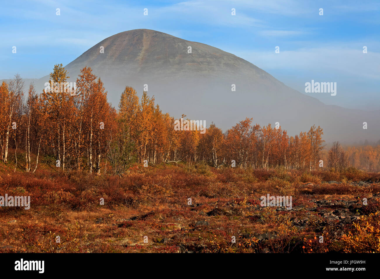 L'Europe, Suède, Laponie, province de Norrbotten, décor de l'automne proche Nikkaluokta Banque D'Images