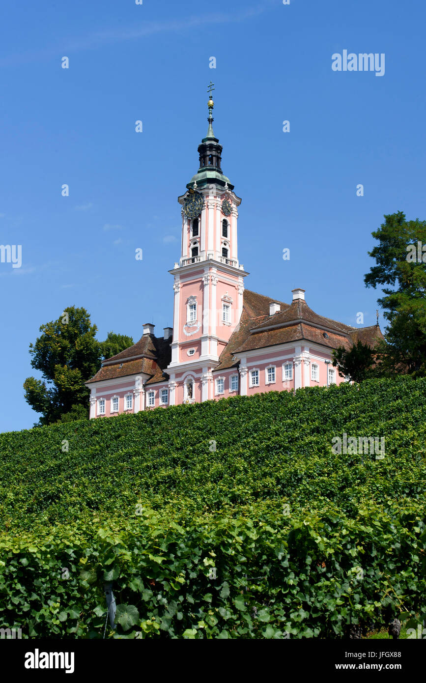 Cloître de Birnau, Minster, vignoble, Lac de Constance, Baden-Wurttemberg, Allemagne Banque D'Images