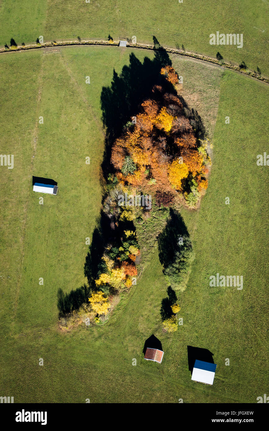 Bois de l'automne, les couleurs, la structure, Garmisch-Partenkirchen, vues aériennes, Brook, Grainau, hurleurs, uplands Werdenfels, Bavière, Allemagne Banque D'Images