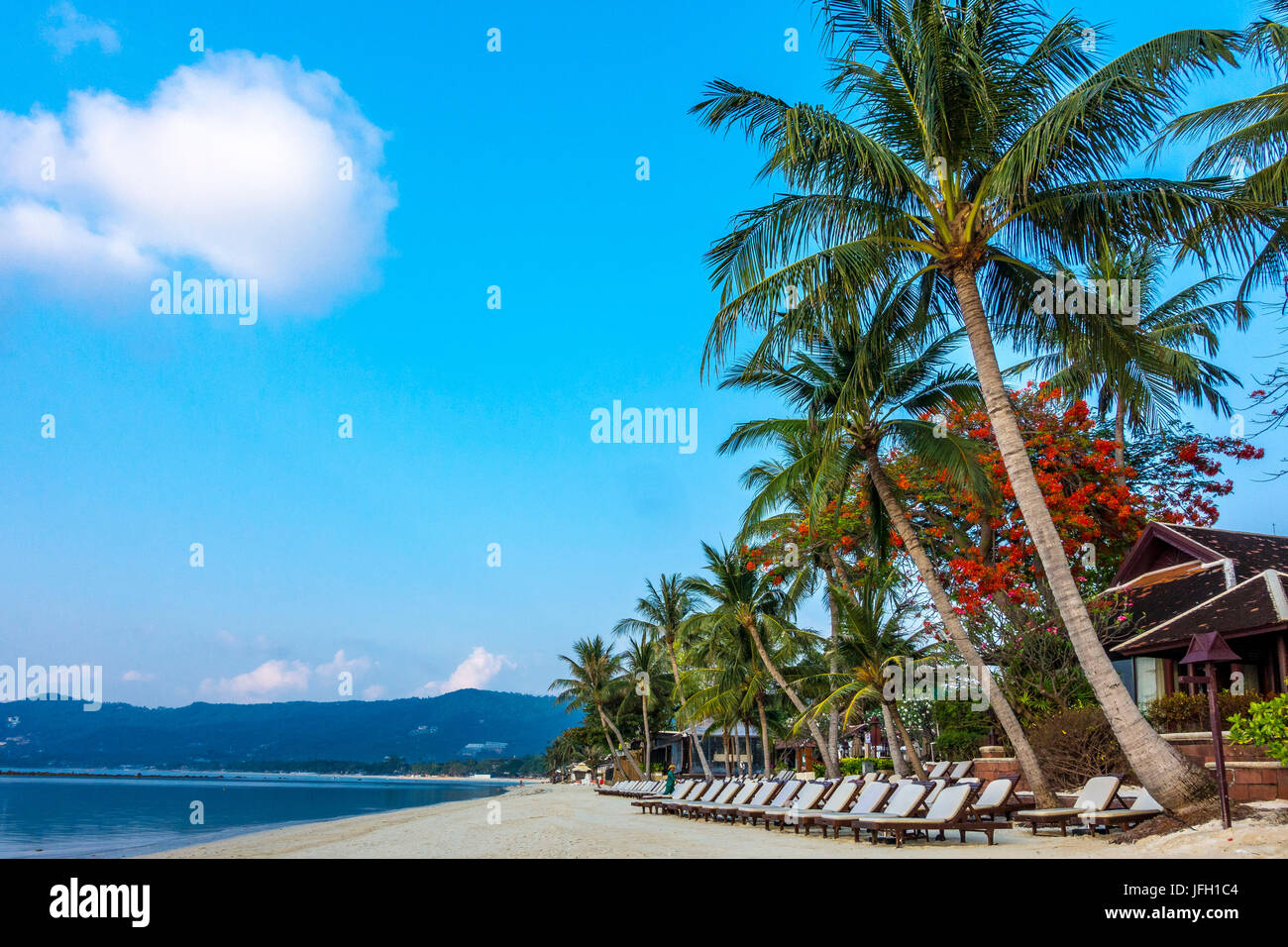 Transats sur la plage d'attendre pour les touristes, la plage de Chaweng, île de Ko Samui, Thaïlande, Asie Banque D'Images