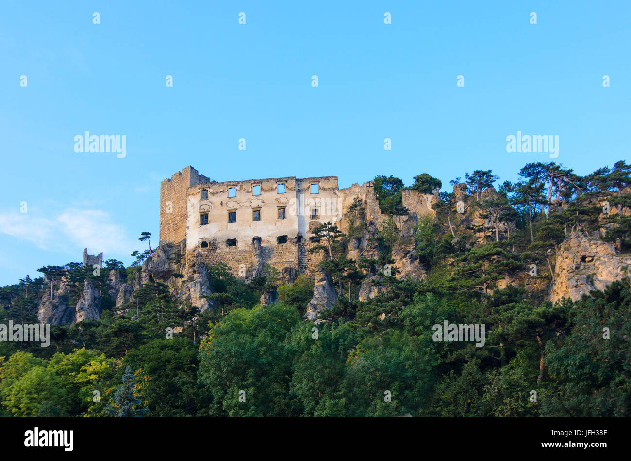 Ruine du château Kurpark et pins noirs (Pinus nigra) dans la réserve naturelle des montagnes de pins, l'Autriche, Basse Autriche, bois viennois, Baden Banque D'Images