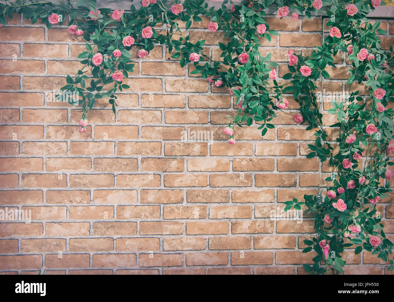 Bush rosier grimpant sur un mur de brique, décor de fleurs artificielles  Photo Stock - Alamy