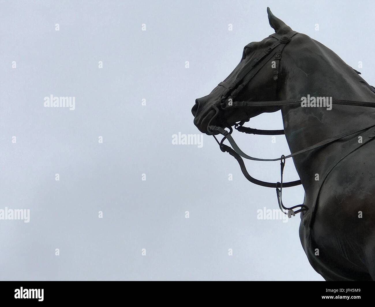 Horse Banque D'Images