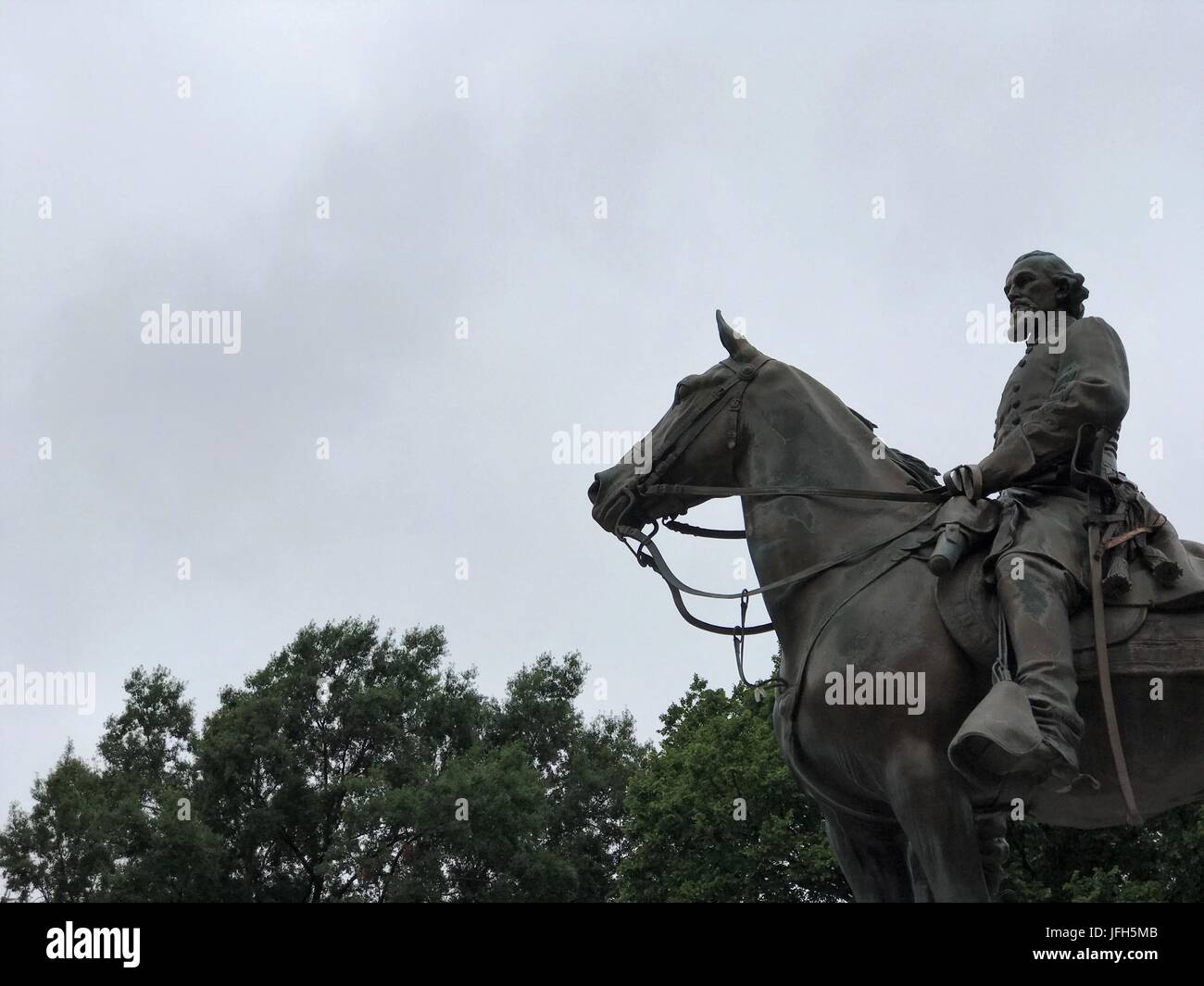 Forrest dans l'Forrest Banque D'Images