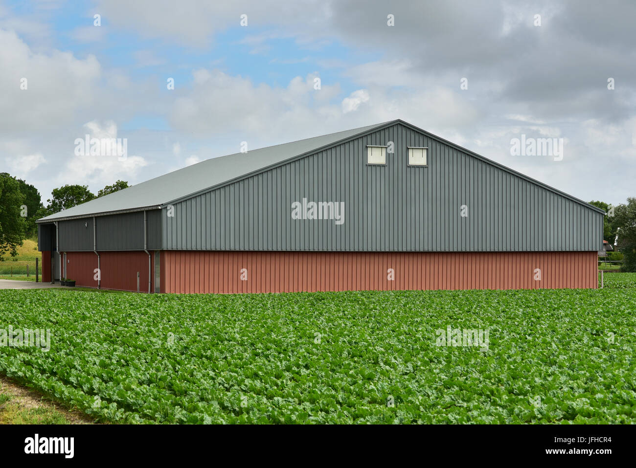 Grange de ferme moderne pour le stockage de la récolte ou machines agricoles dans un paysage agricole Banque D'Images