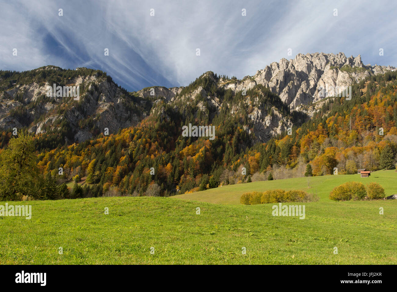 Bois de montagne dans la vallée du cloître Banque D'Images