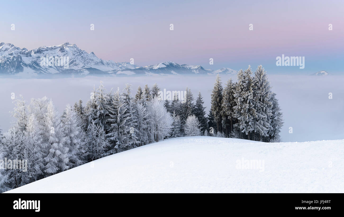 Matin d'hiver glacial avec un lever du soleil pastel, Suisse, Appenzell Banque D'Images