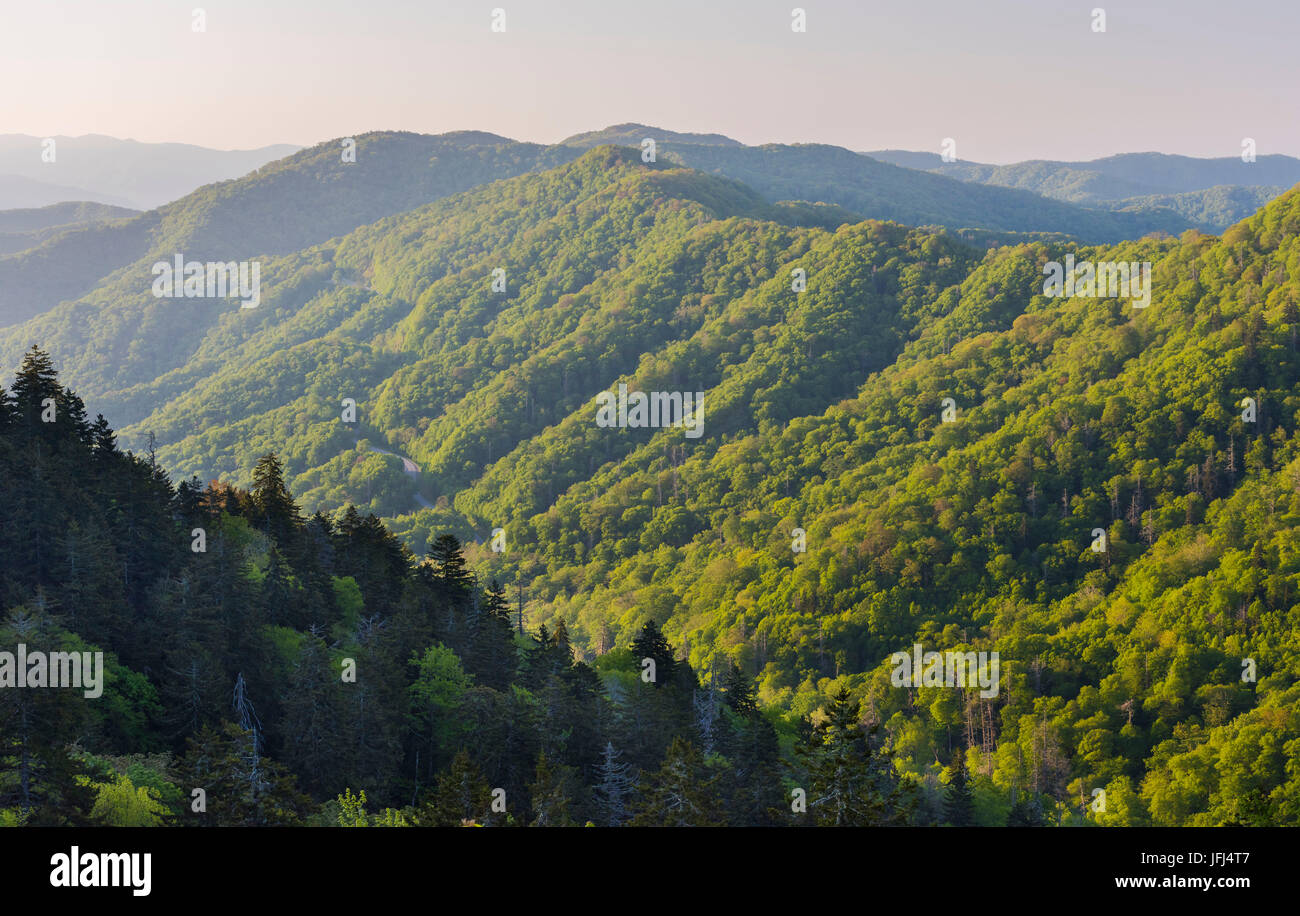 Great Smoky Mountains, Etats Unis, New York Banque D'Images