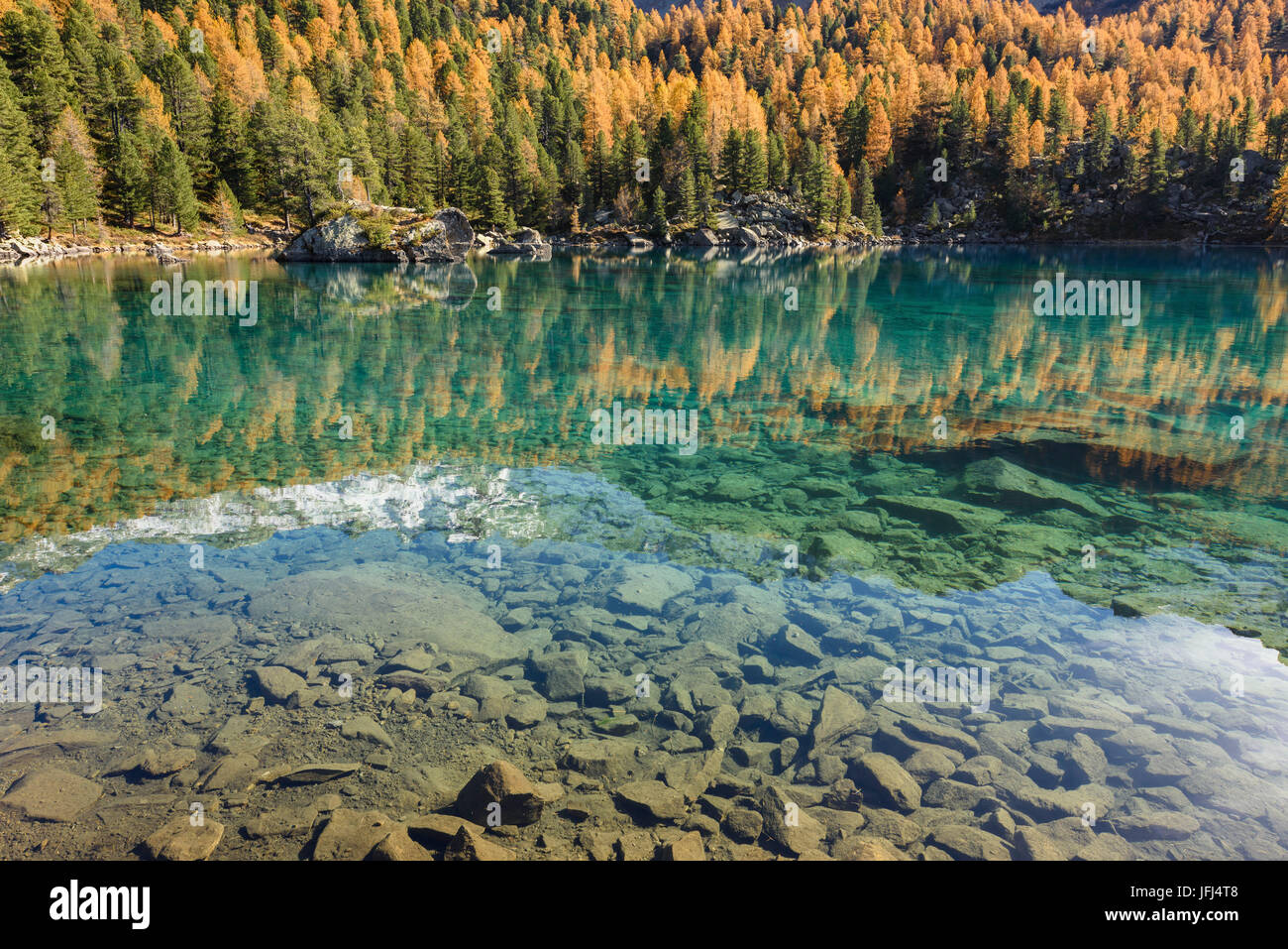 L'automne à Lago di Saoseo, Suisse Banque D'Images