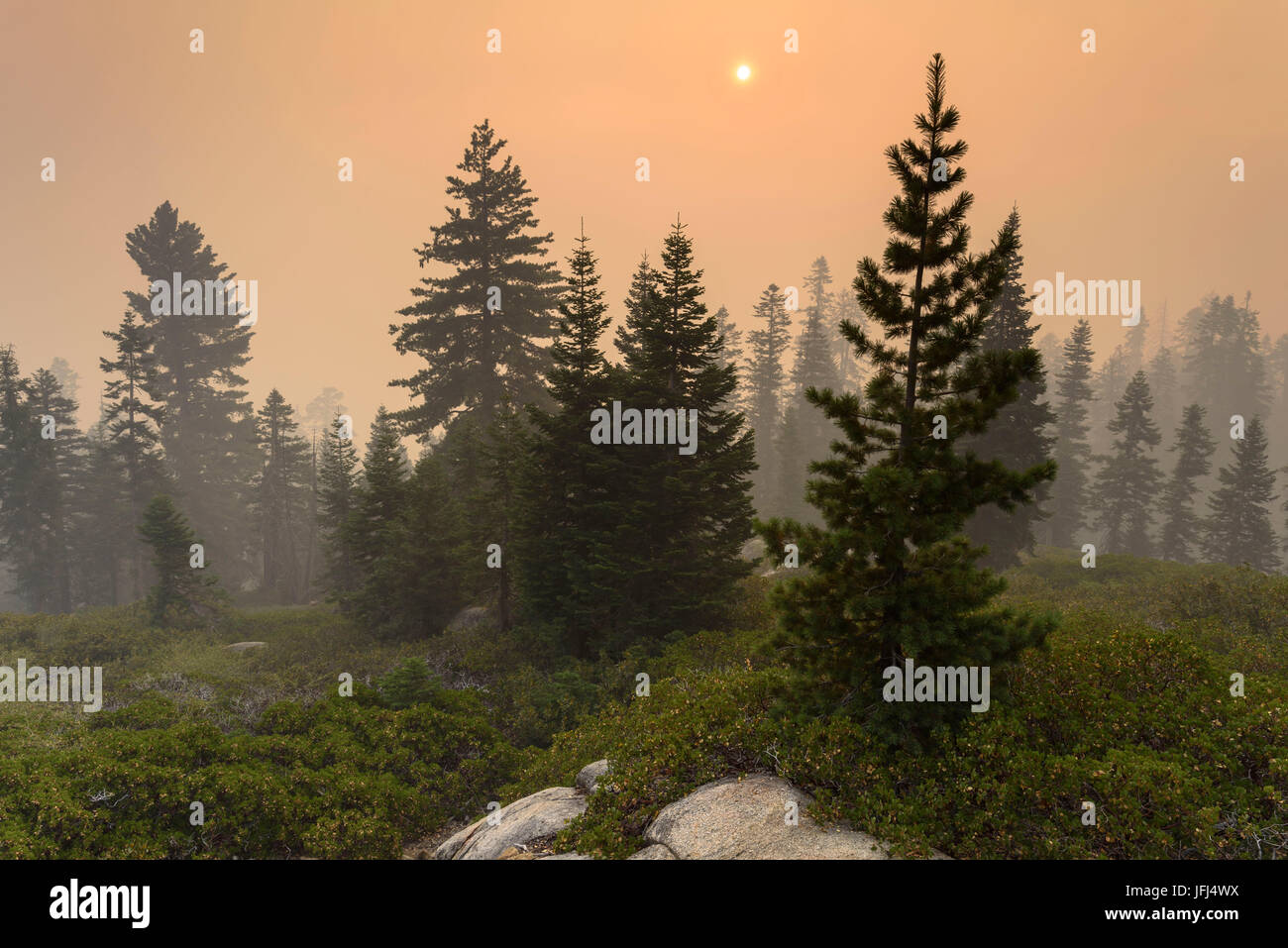 Le lever du soleil après un incendie de forêt dans le King's canyon national park, Californie, ETATS UNIS Banque D'Images