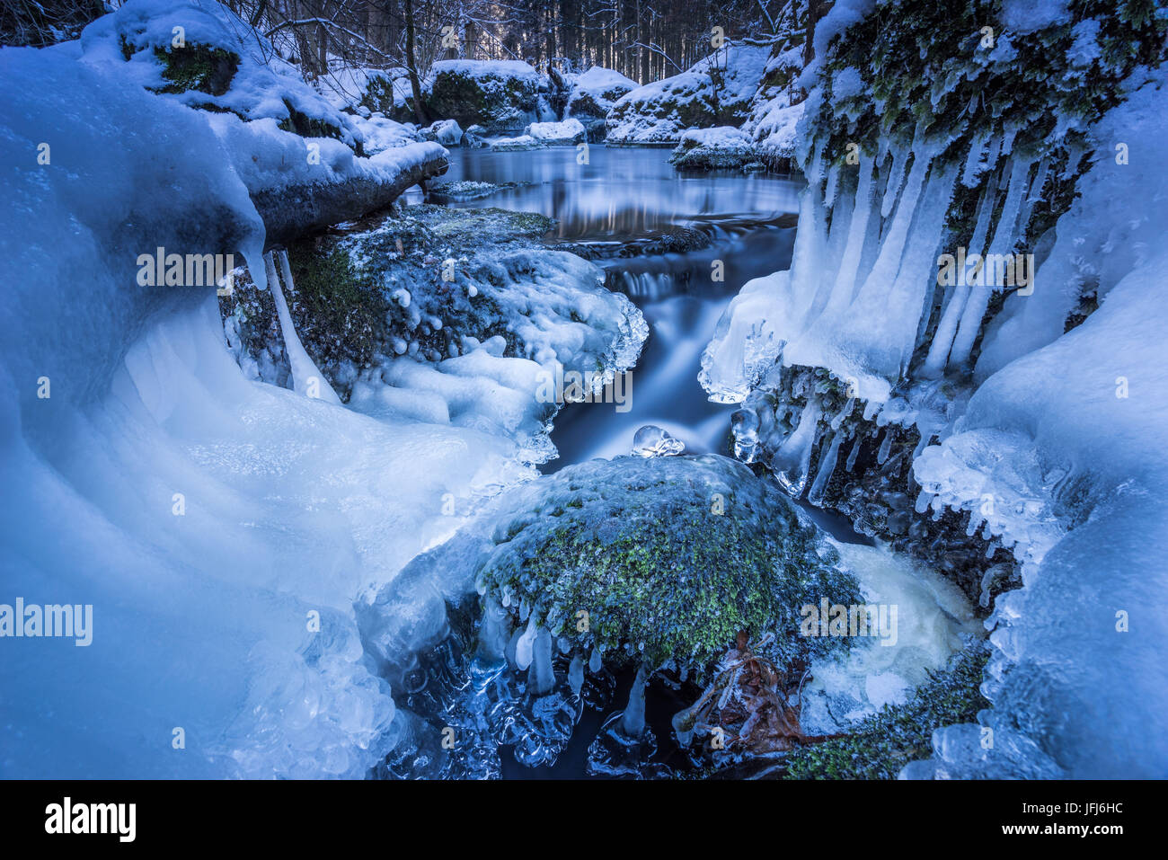 Les glaçons dans le cours d'eau dans le bois d'hiver, Triebtal, Vogtland, Saxe, Allemagne Banque D'Images