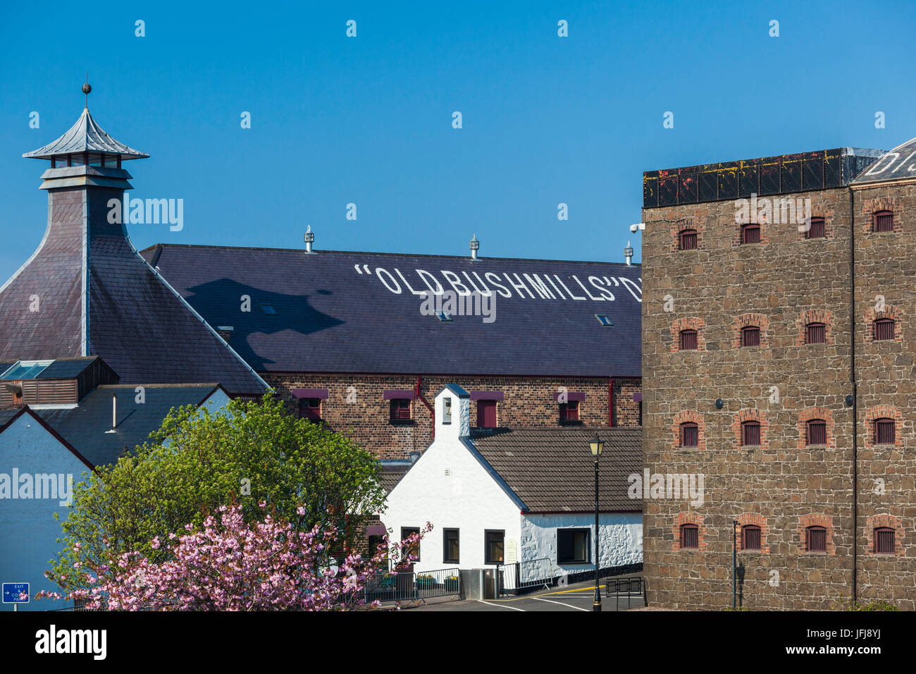 Royaume-uni, Irlande du Nord, le comté d'Antrim, Bushmills, Old Bushmills Distillery, plus ancienne distillerie de whisky de juridique, depuis 1608 Banque D'Images