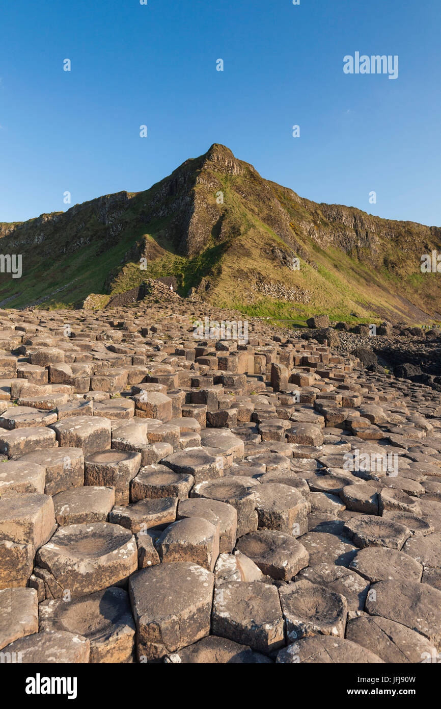 Royaume-uni, Irlande du Nord, le comté d'Antrim, Bushmills, Chaussée des Géants, site classé au Patrimoine Mondial de l'Unesco, coastal rock formation de basalte, crépuscule Banque D'Images