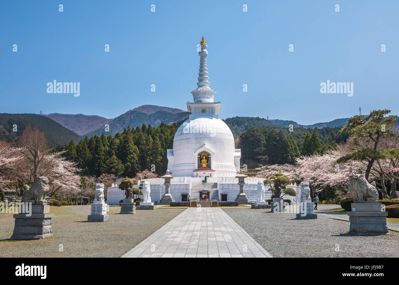 Temple bouddhiste, cerisiers, Japon Banque D'Images