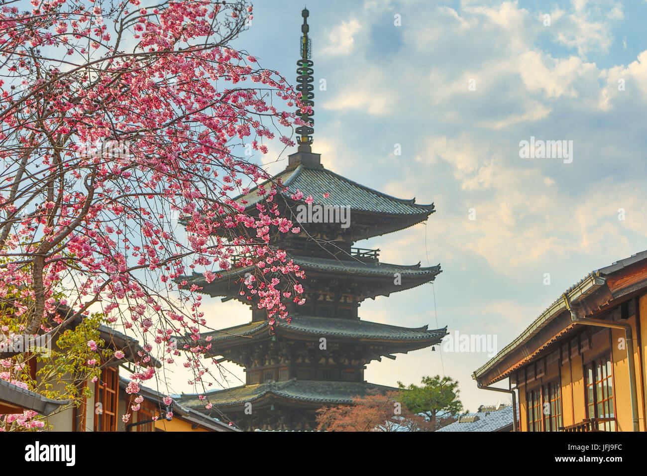 Le Japon, la ville de Kyoto, Pagode et fleurs Banque D'Images