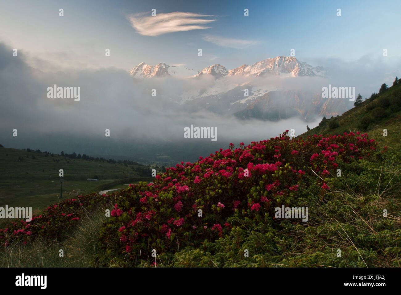 Pic Presanella, sunrise Tonale Pass Banque D'Images