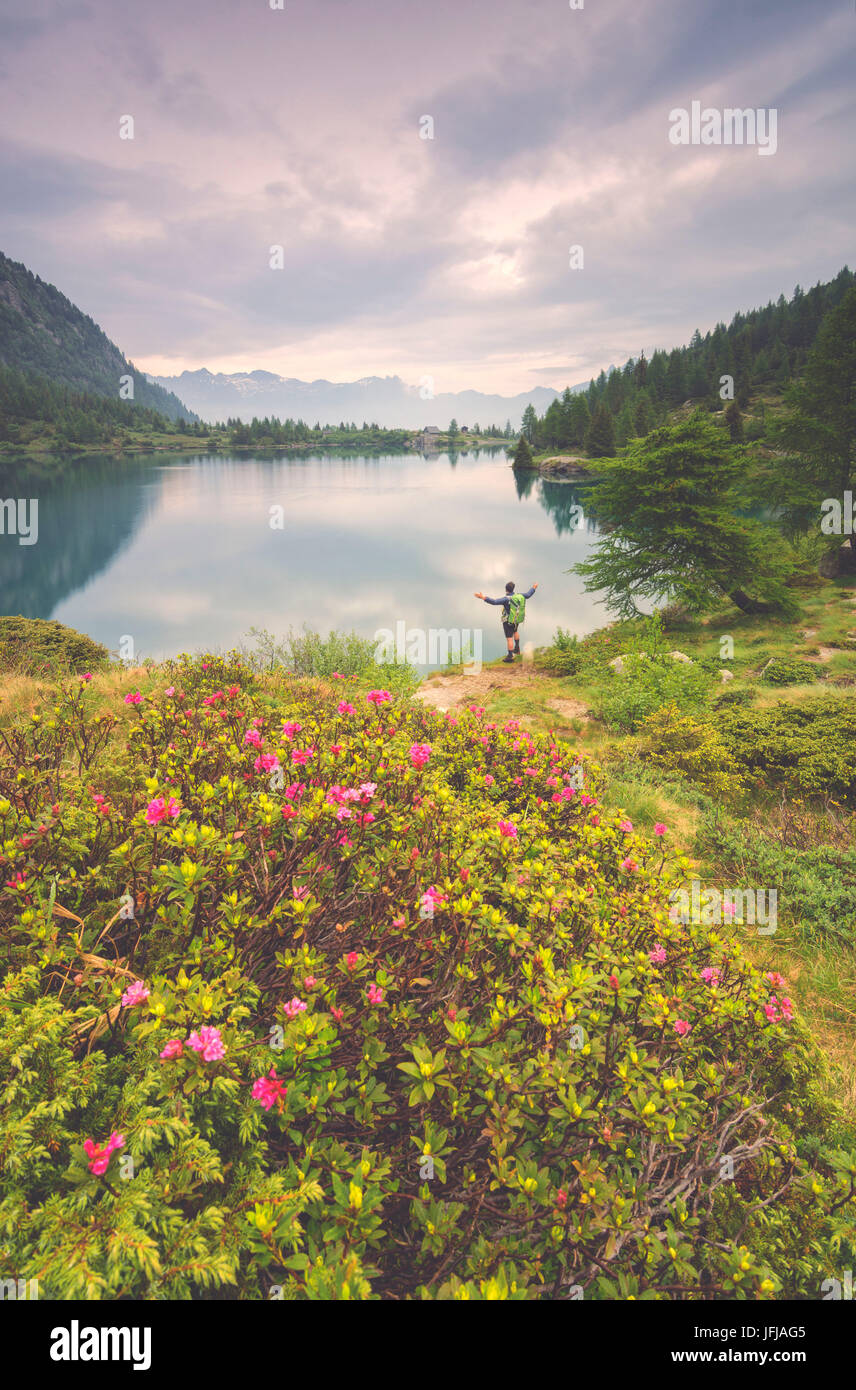 L'Europe, Ialy, Aviolo dans le lac du parc de l'Adamello, province de Brescia Banque D'Images