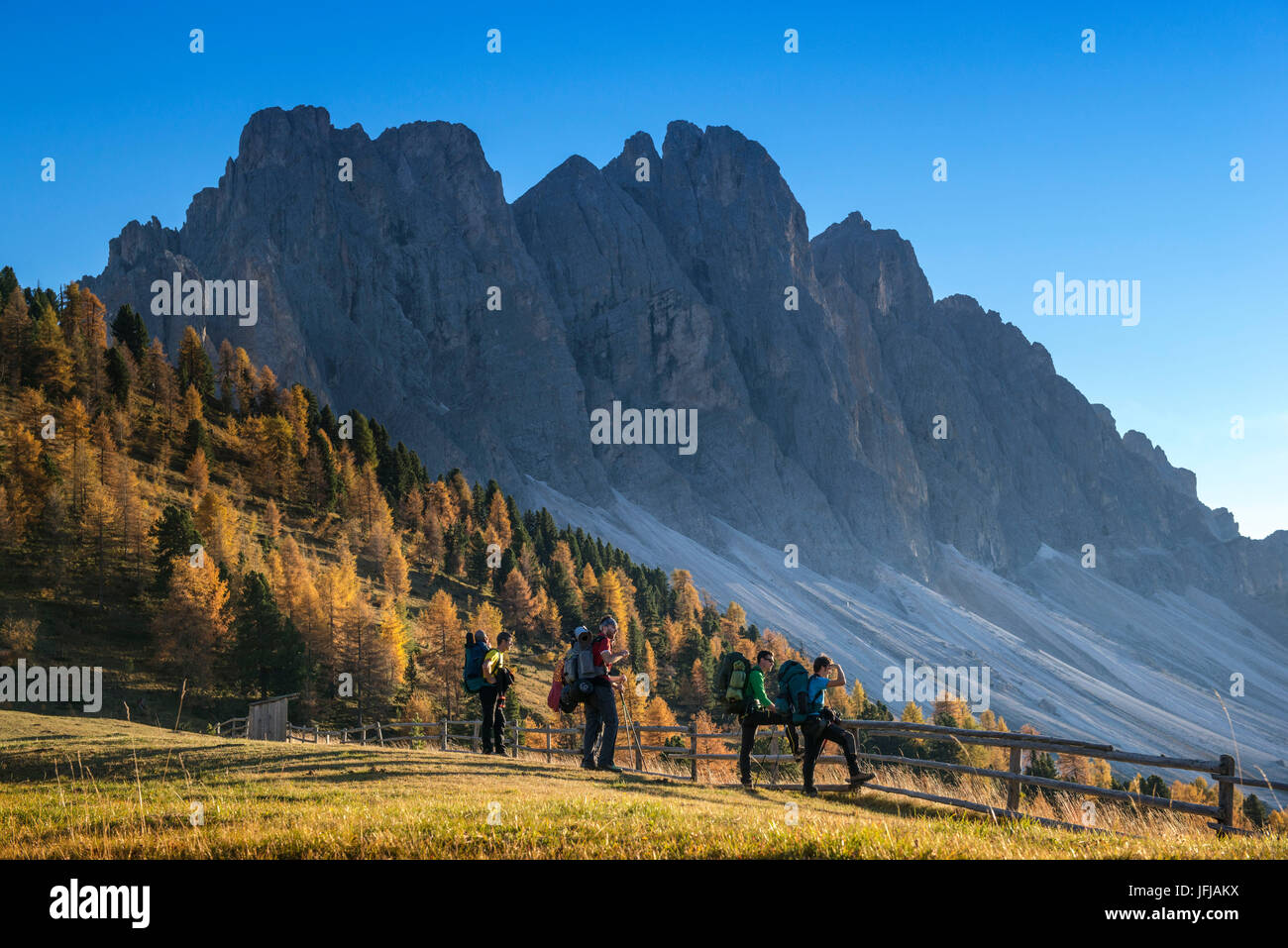 Le Parc Naturel Puez Olde, Trentino Alto Adige, Sudtirol, Dolomites, Alpes, Italie Banque D'Images