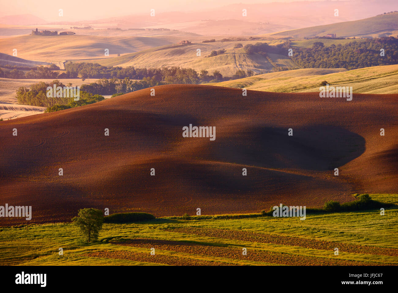 Italie, Toscane, Sienne, District d'Orcia - champ en jachère Banque D'Images Italie, Toscane, Sienne, District d'Orcia - champ en jachère Banque D'Images